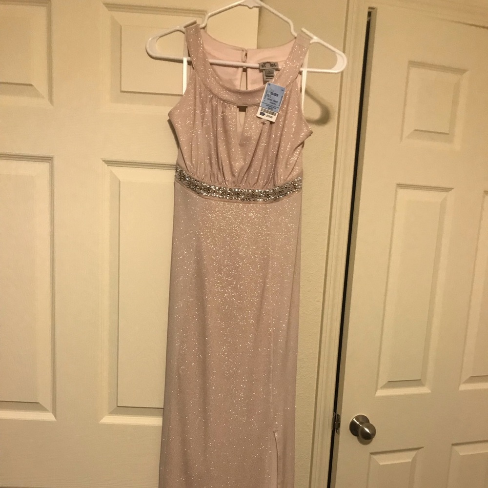 Large Sweet Storm floor length gown